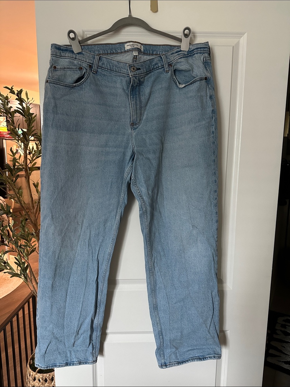 Abercrombie & Fitch The Baggy Low-Rise Jeans
